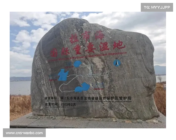天山马拉松冠军分享湿地赛道适应技巧并建议增设海拔提示牌 天山马拉松冠军分享湿地赛道适应技巧并建议增设海拔提示牌